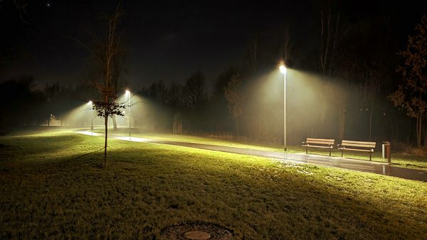 Grüne Oase in der Stadt