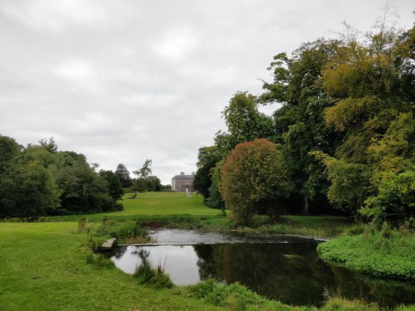 Wildtiere & Pflanzen im historischen Park