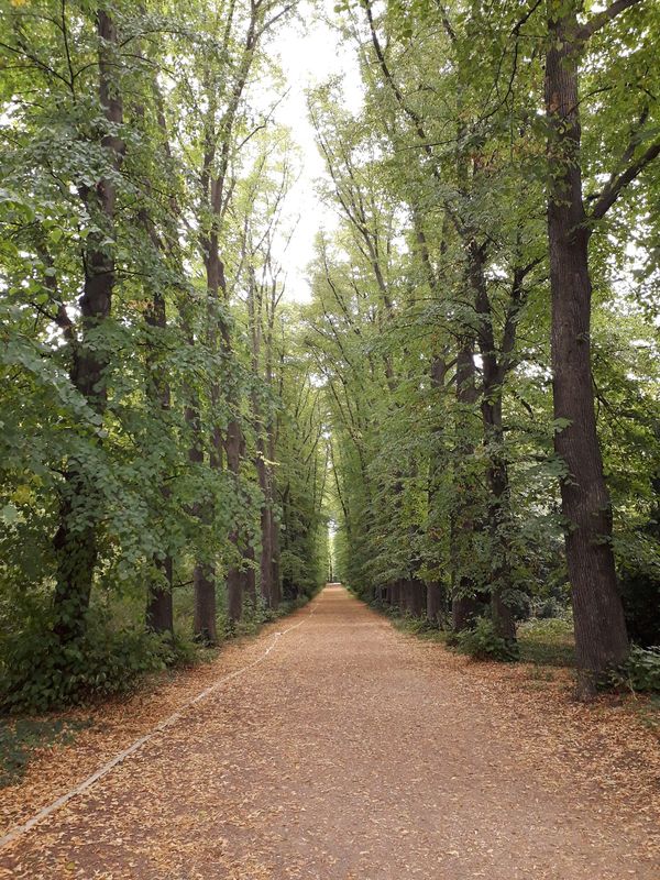 Historische Einblicke in prächtigem Adelssitz