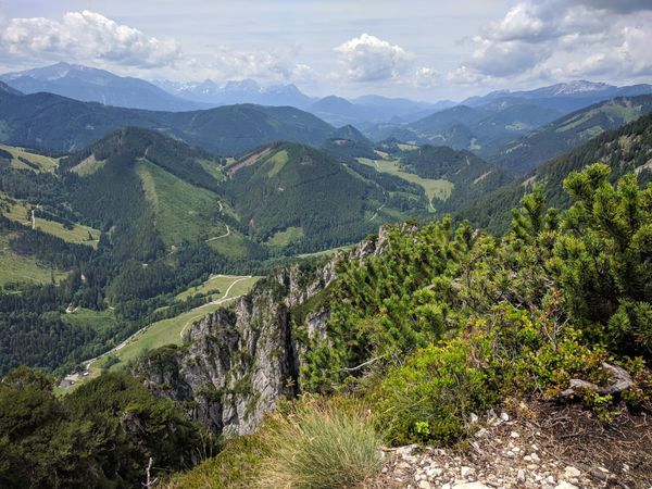 Entdeckungsreise in die größte Waldwildnis Österreichs