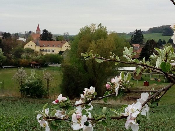 Historische Entdeckungen und Abenteuer für die ganze Familie