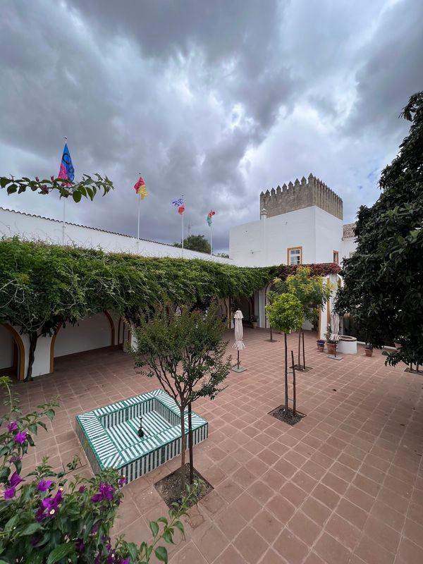 Azulejos & Adelshäuser