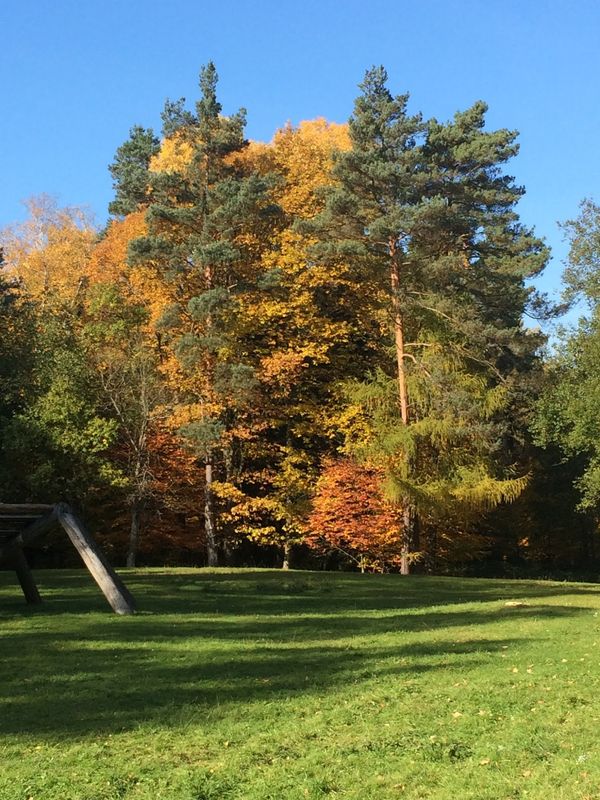 Outdoor-Abenteuer im Taunus erleben