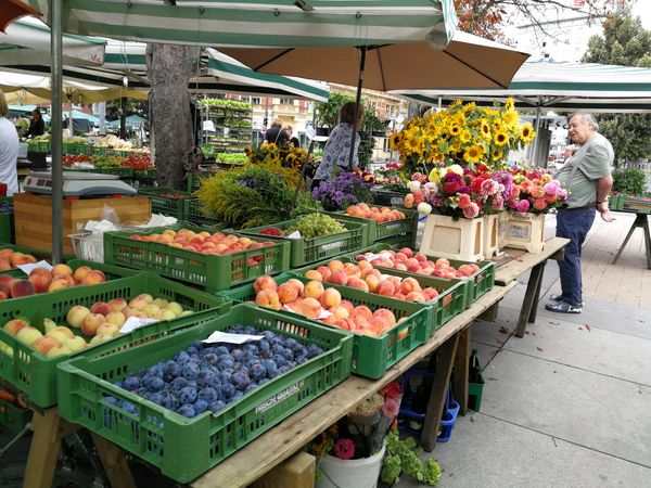 Frisches & Regionales direkt vom Markt