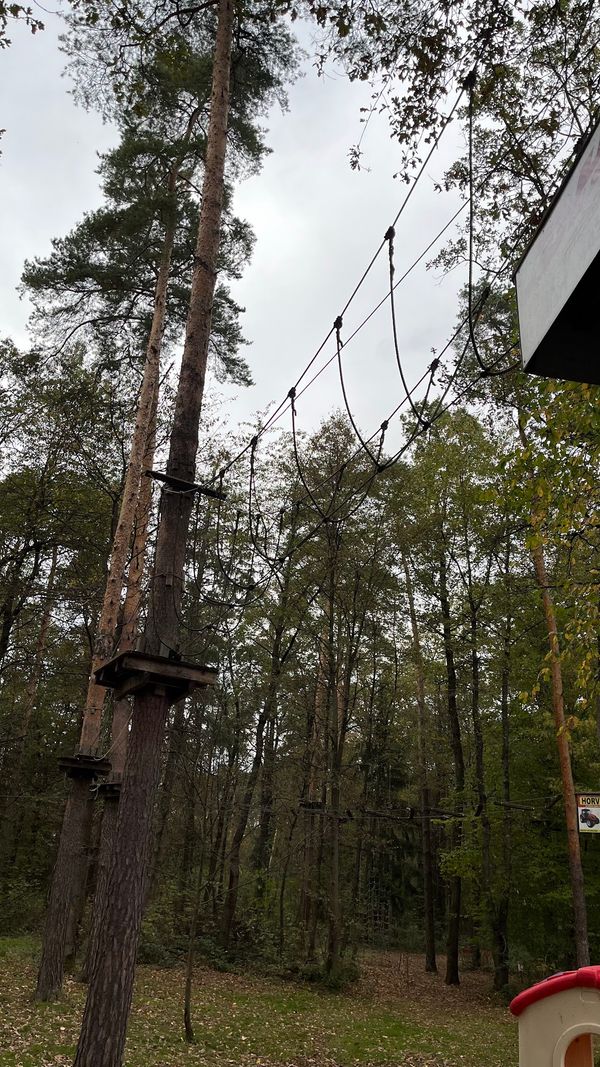 Adrenalin pur im Hochseilgarten erleben