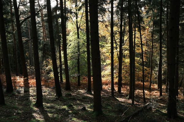 Wandern am Felsenmassiv mit sagenhafter Aussicht