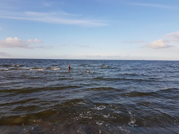 Spaß für Vierbeiner am Wasser