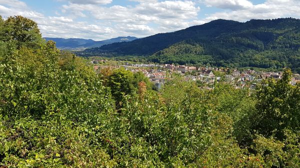 Bestaune Freiburg von oben