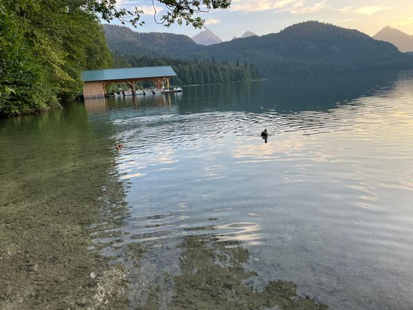 Idyllische Momente am malerischen Schwansee