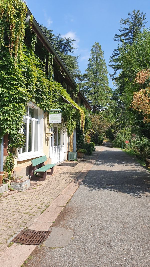 Wildtiere in Meylan beobachten