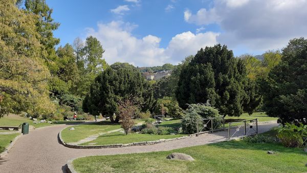 Grüne Lunge der Stadt am Fluss