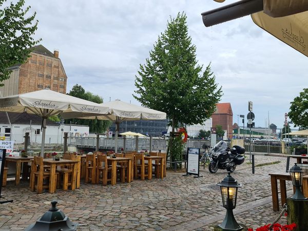 Fischgenuss direkt am Hafen