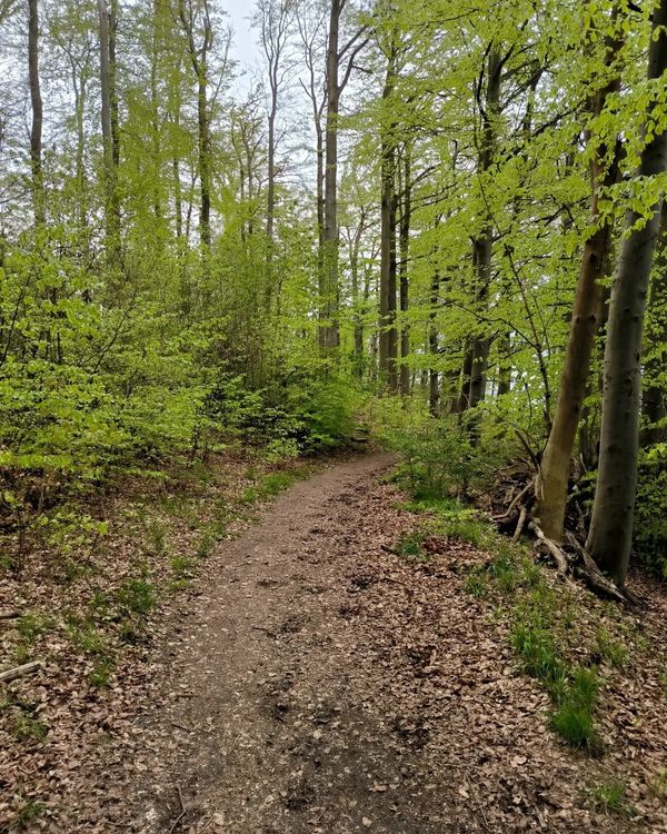 Wandern im Reich der Drachen