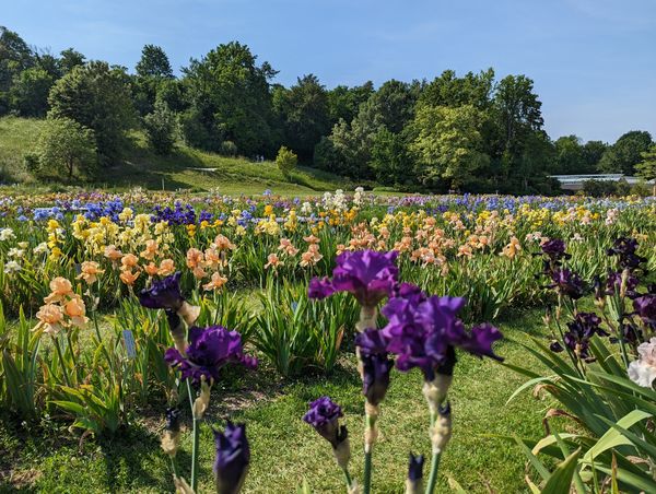 Magische Natur-Welt entdecken