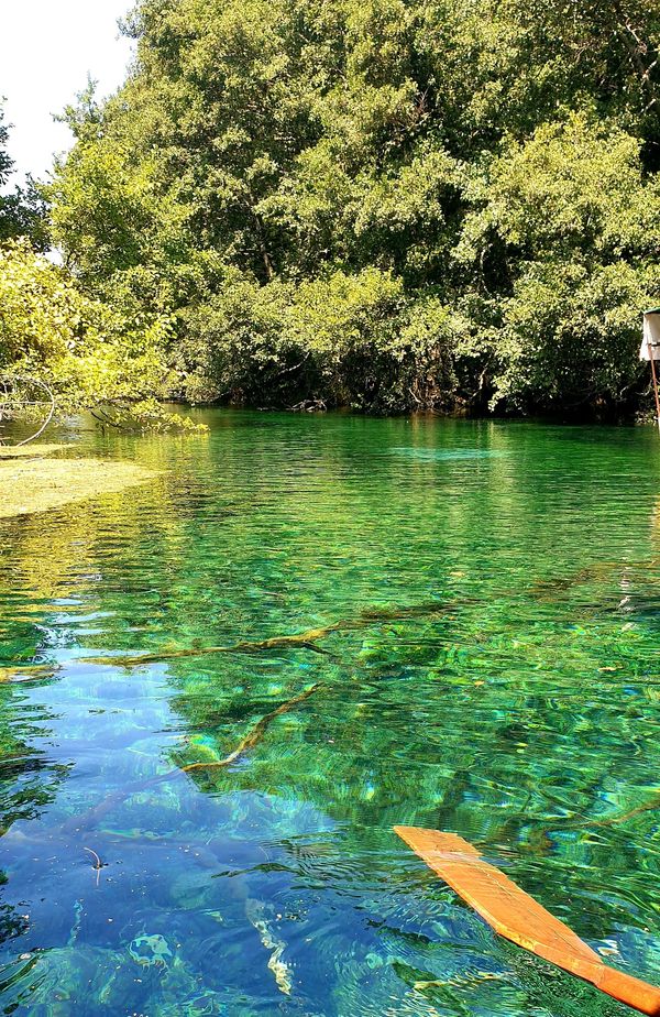 Naturwunder mit klarem Quellwasser