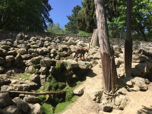 Tierpark-Erlebnis mit der Familie