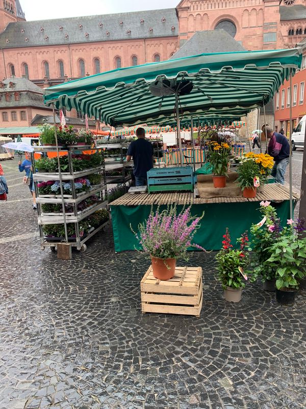 Lebendiger Wochenmarkt