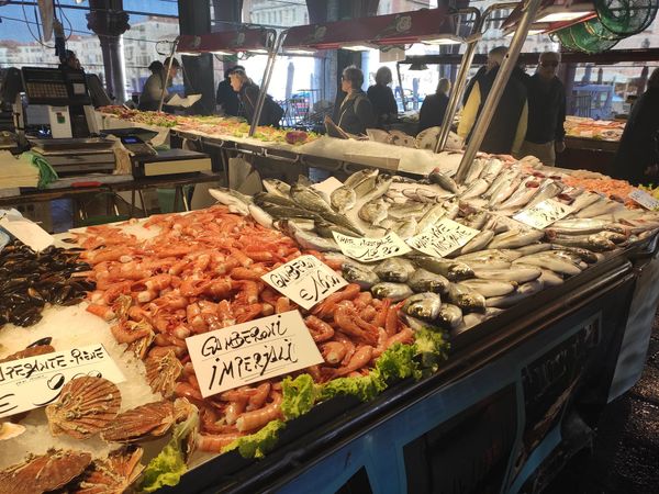 Lebhaftes Treiben und frische Delikatessen