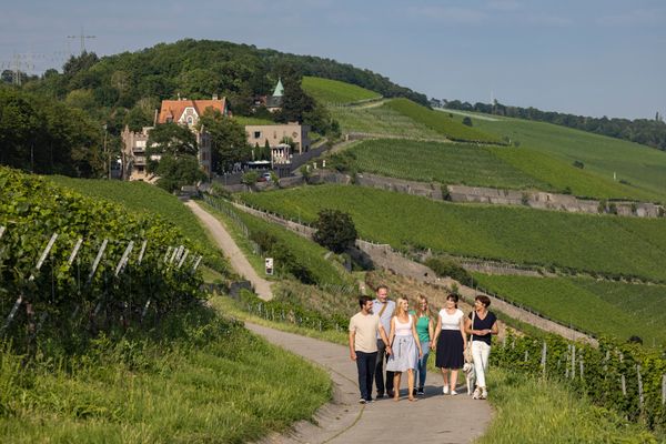 Panoramaweg durch die Weinberge