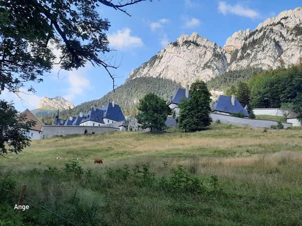 Wo der Chartreuse Likör geboren wurde