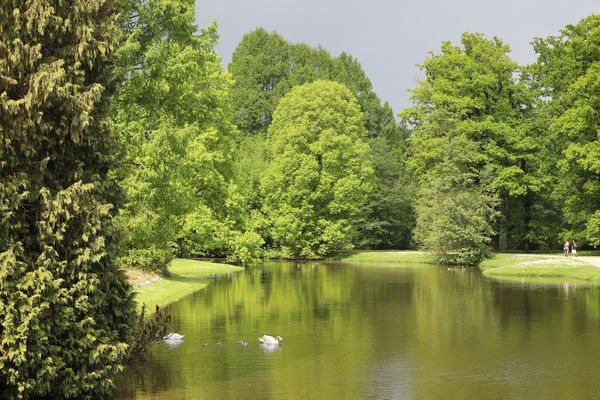 Botanische Vielfalt auf einer Insel