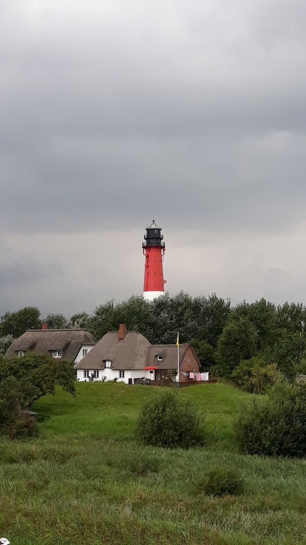Entdecke die Ruhe und Schönheit von Pellworm