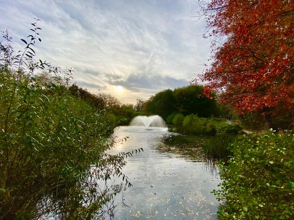 Ruhe und Entspannung im Grünen