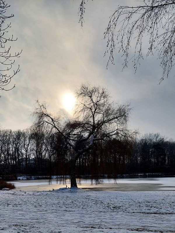 Entspannung und Natur pur am Auwaldsee