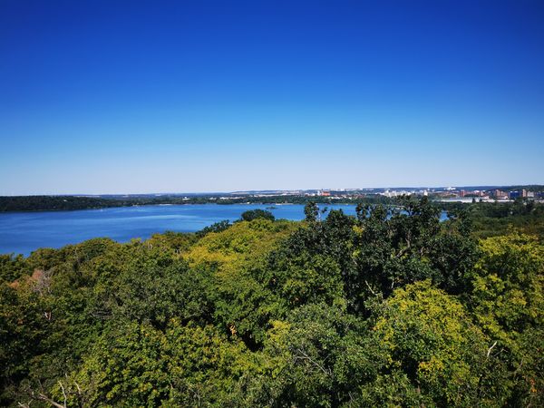 Atemberaubende Aussichten über Wald und See