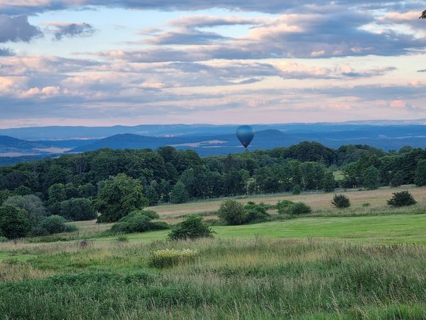Natur pur am Stadtrand
