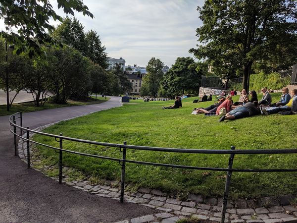 Perfekt für ein Picknick im Grünen