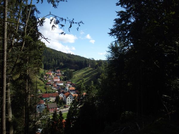 Märchenhafte Wälder erkunden