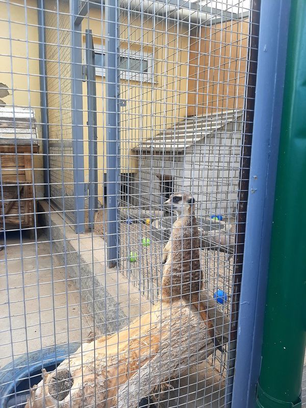 Tierische Abenteuer für die ganze Familie