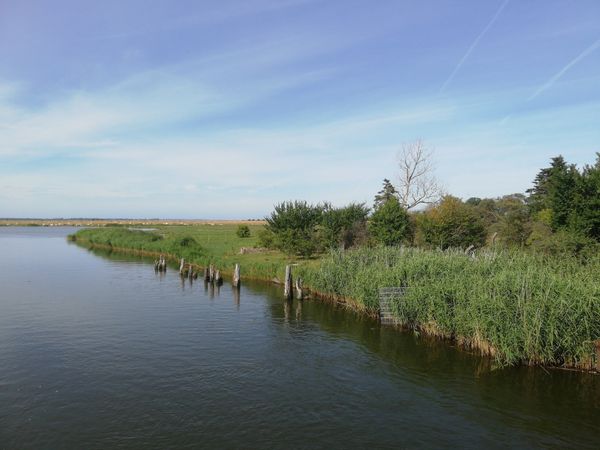 Vogelbeobachtung am Kooser See