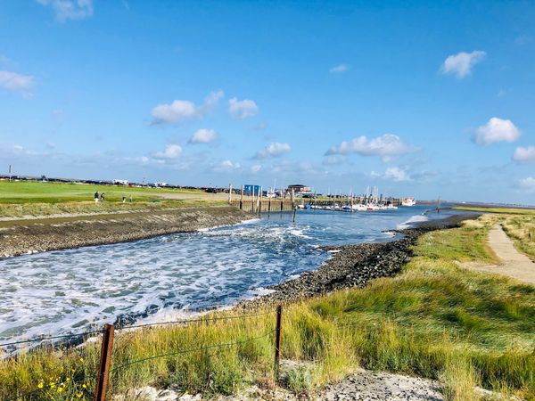 Mit den Füßen im Schlick das Meer erleben
