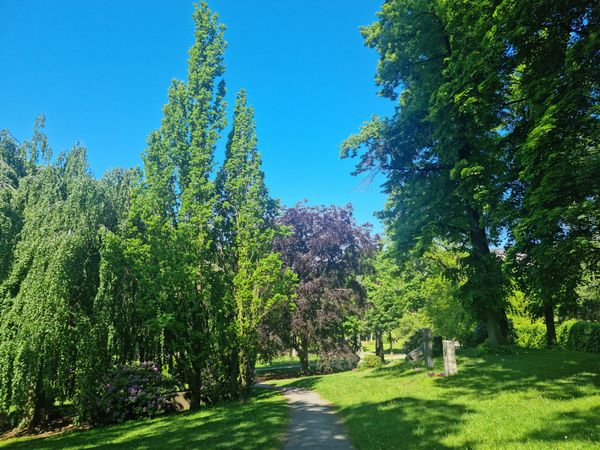 Friedhof der Berühmten besuchen