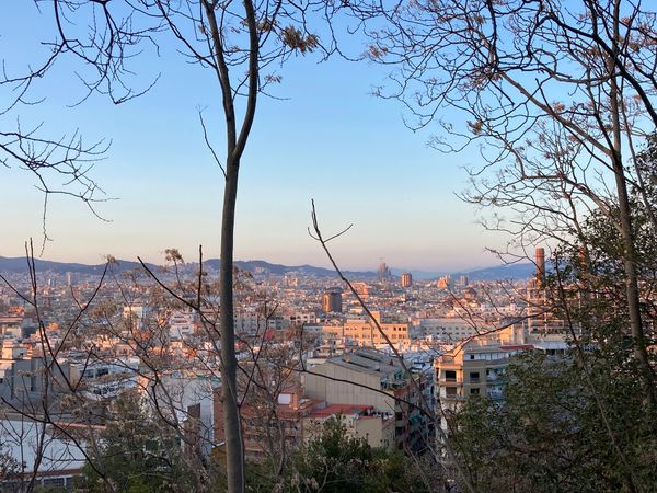 Bestaune die Aussicht vom magischen Berg