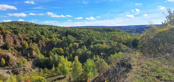 Natur pur am Aussichtspunkt Bärenstein genießen