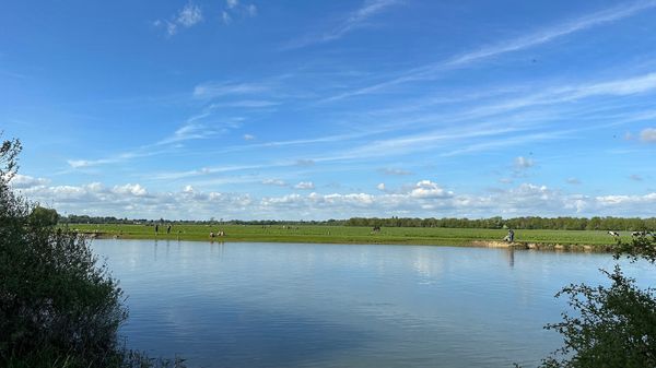 Unberührte Natur nahe der Stadt