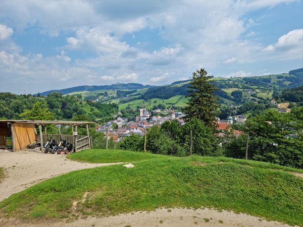 Wildtiere hautnah erleben – Ein Abenteuer für die ganze Familie
