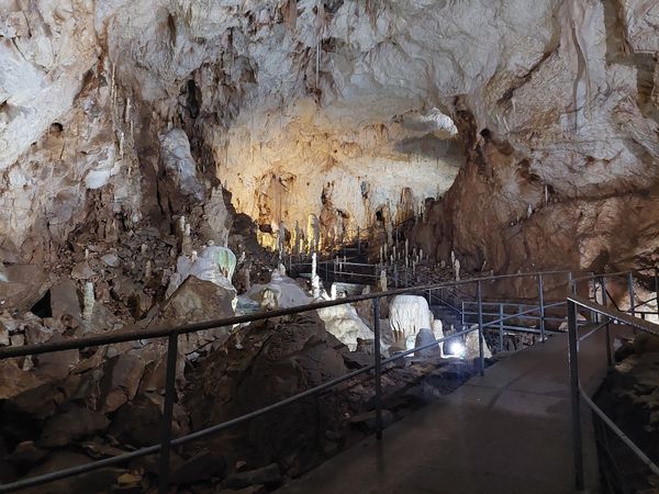 Entdecke die geheimnisvolle Bärenhöhle