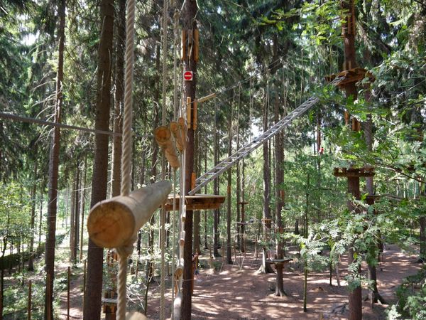 Herausforderung und Spaß im Kletterwald