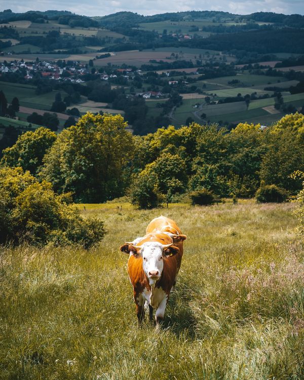 Auf den Spuren der Natur