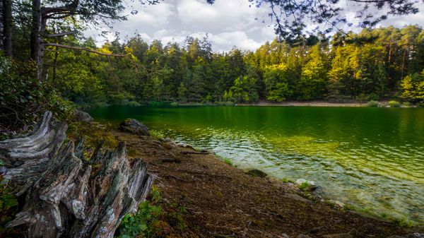 Ruhige Natursee-Umrundung