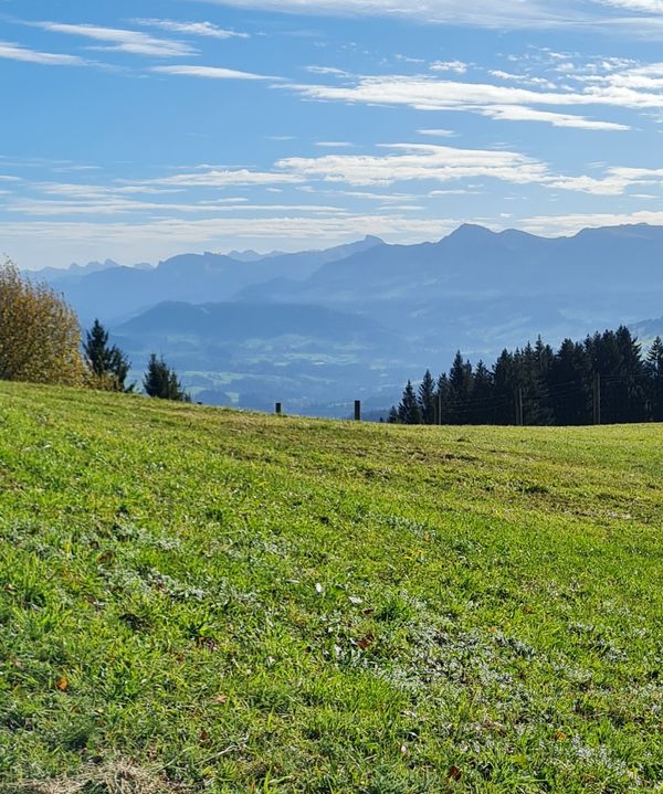 Ausblick über den Bodensee genießen