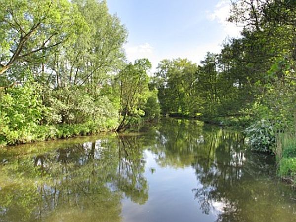 Unterwasserwelt mitten in Fulda