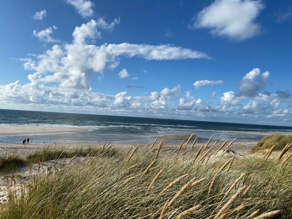 Schwitzen & Meer: Saunaerlebnis in den Dünen