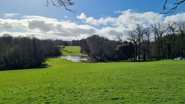 Wildtiere & Pflanzen im historischen Park