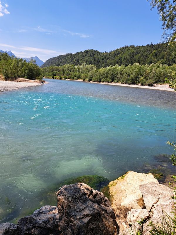 Abenteuer hoch in den Baumwipfeln