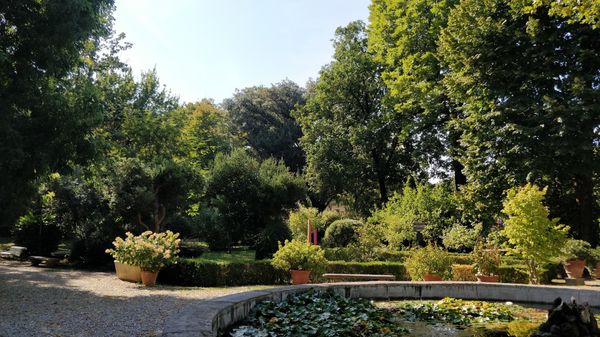 Alter botanischer Garten voller Geschichte
